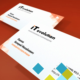 IT Evolution business card